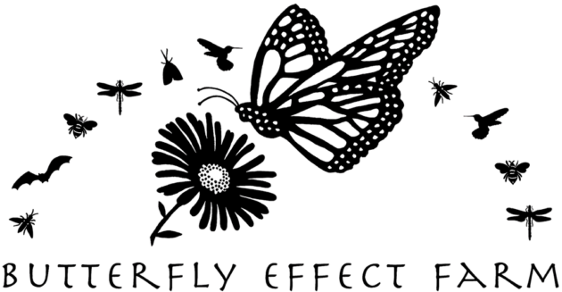 Our Story – Butterfly Effect Farm