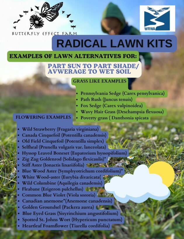 Radical Lawn Kits - Westport - Image 4