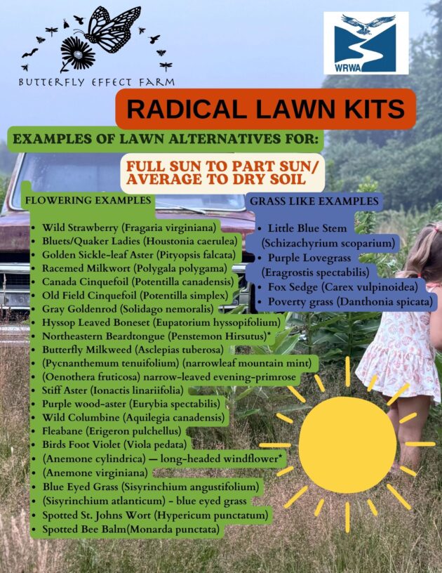 Radical Lawn Kits - Westport - Image 3