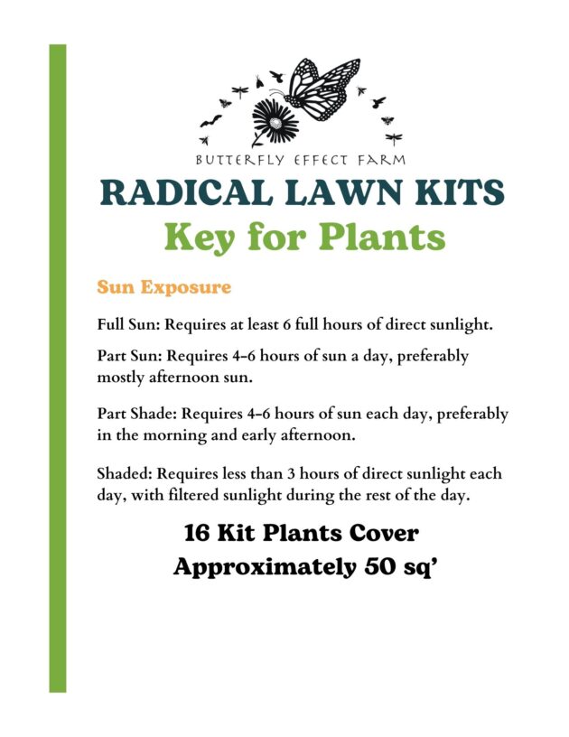 Radical Lawn Kits - Westport - Image 6