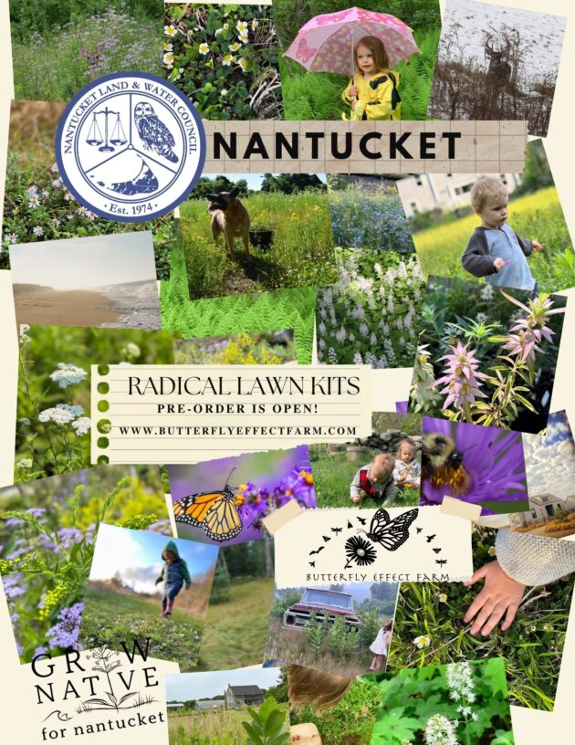 Radical Lawn Kits - Nantucket