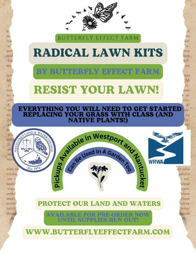 Radical Lawn Kits - Westport - Image 2