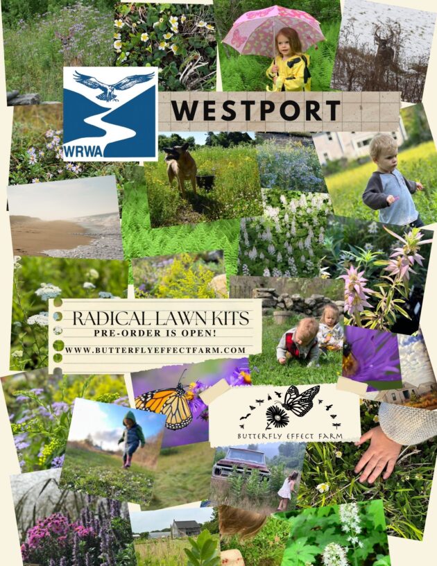 Radical Lawn Kits - Westport